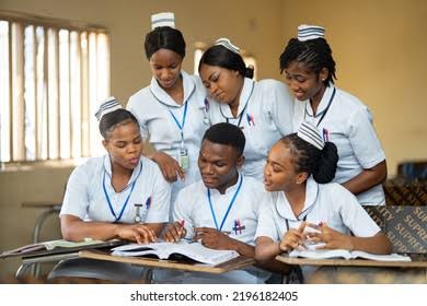 Students Collaborating